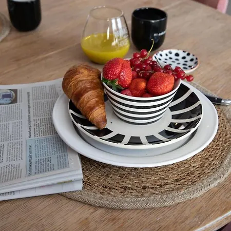 137, Luxe Midden In De Bollenstreek * Lisse